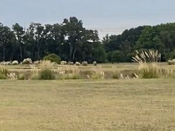 TERRENO EN  VENTA ESTANCIA VILLA MARIA EZEIZA