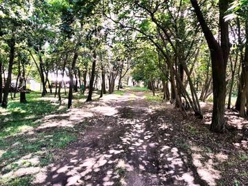 Quinta 4 dormitorios en venta Magdalena pileta