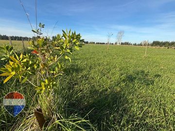 LOTE EN VENTA EN ESTANCIA LAS MALVINAS, BRANDSEN