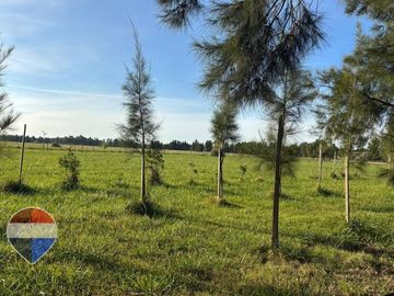 LOTE EN VENTA EN ESTANCIA LAS MALVINAS, BRANDSEN
