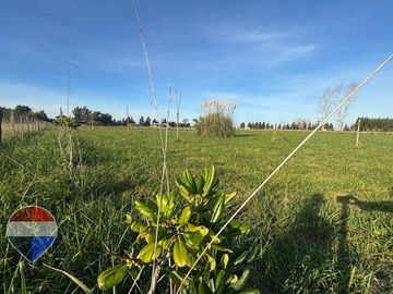 LOTE EN VENTA EN ESTANCIA LAS MALVINAS, BRANDSEN