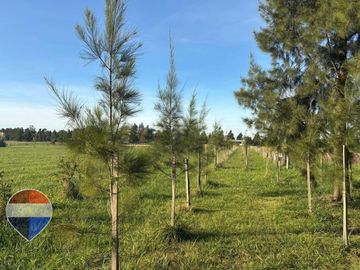 LOTE EN VENTA EN ESTANCIA LAS MALVINAS, BRANDSEN