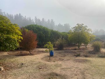 Parcela en venta  en PUCHUNCAVÍ