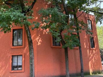 Departamento en Renta en Coyoacán, Santa Catarina, CDMX