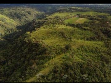 MGA / VENTA HACIENDA, NANEGALITO, ECUADOR