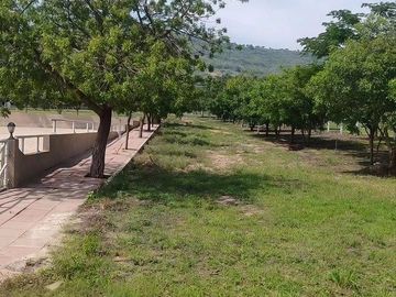 LOTES EN VENTA EN FRACCIONAMIENTO EL SABINO EN MUNICIPIO DE OCOZOCUAUTLA