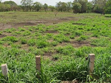LOTES EN VENTA EN FRACCIONAMIENTO EL SABINO EN MUNICIPIO DE OCOZOCUAUTLA