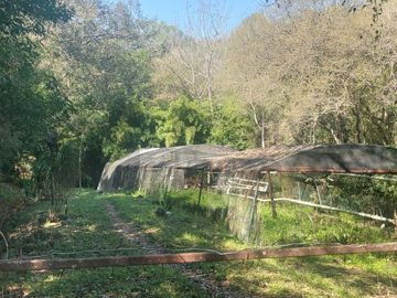 Ranchos en Venta en El Pastor