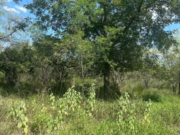 Terrenos en Venta en Valle Hidalgo (La Cotorra)