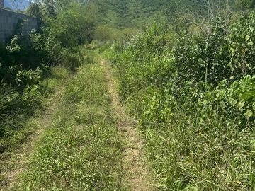 Terrenos en Venta en Valle Hidalgo (La Cotorra)