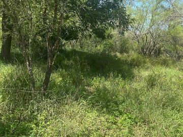 Terrenos en Venta en Valle Hidalgo (La Cotorra)