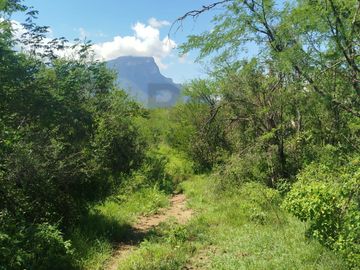Terrenos en Venta en Sin Colonia