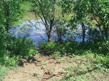 Terrenos en Venta en Sin Colonia