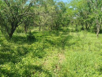 Terrenos en Venta en Sin Colonia