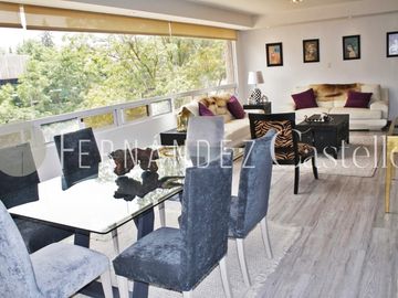 RENTA DE DEPARTAMENTO AMUEBLADO EN POLANCO