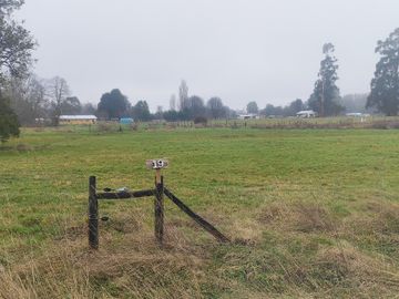 PARCELA 5000 M2 COLLIPULLI PUYEHUE - CON LUZ Y AGUA