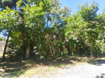 Lote Barrio Santa Brigida Los Cardales