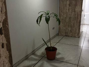 DEPARTAMENTO 2 AMB. APTO PROFESIONAL EN VENTA