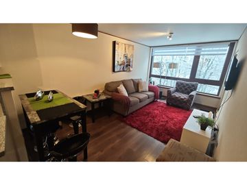 Venta Depto. amoblado 2D 2B 1E en Termas de Chillán