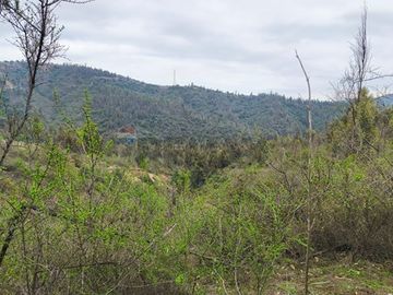 Parcela de Agrado en Entorno Natural