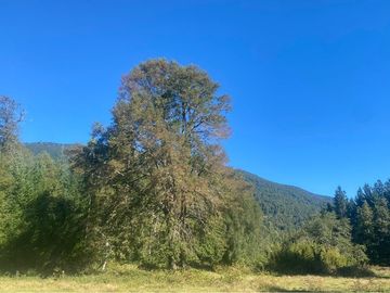 Venta Terreno 1,55 Ha Orilla Camino Huife