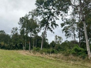 Parcela 5000 Rio negro, A orilla de Río