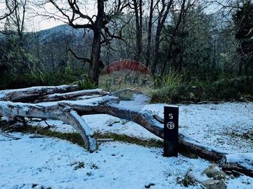 Parcela de 5,000 m2 en Curarrehue, Pucón