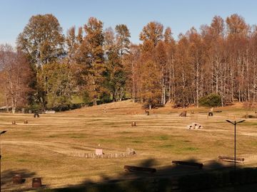 Venta terreno 2,5 hectáreas Villarrica - Pucón