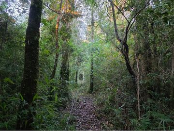 Venta de hermorsa parcela en Calfuco