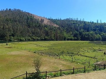 Terreno en Valdivia: Naturaleza y Comodidad