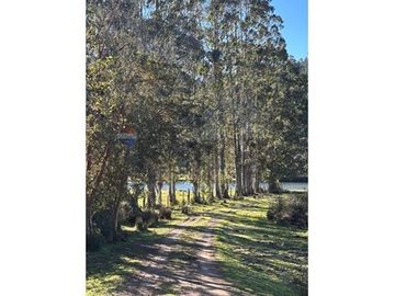 Terreno en Valdivia: Naturaleza y Comodidad