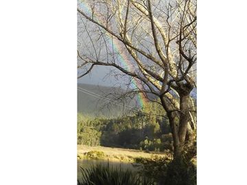 Terreno en Valdivia: Naturaleza y Comodidad