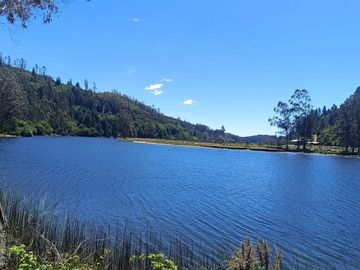 Terreno en Valdivia: Naturaleza y Comodidad