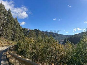 Terreno en Valdivia: Naturaleza y Comodidad