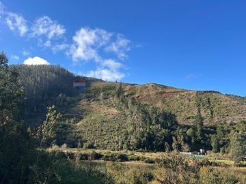 Terreno en Valdivia: Naturaleza y Comodidad