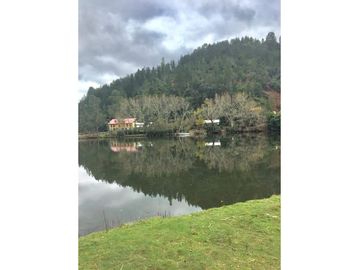 Terreno en Valdivia: Naturaleza y Comodidad