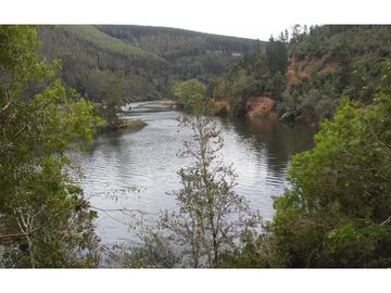 Terreno en Valdivia: Naturaleza y Comodidad