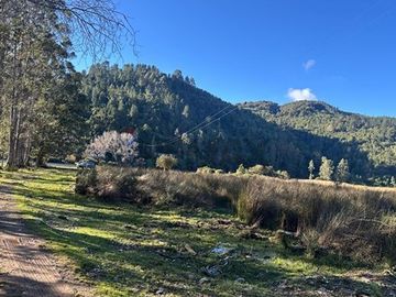 Terreno en Valdivia: Naturaleza y Comodidad