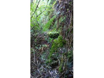 Terreno en Valdivia: Naturaleza y Comodidad