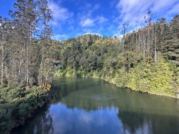 Terreno en Valdivia: Naturaleza y Comodidad