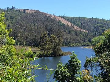 Terreno en Valdivia: Naturaleza y Comodidad