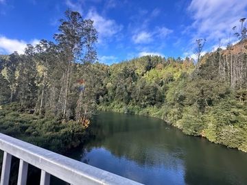Terreno en Valdivia: Naturaleza y Comodidad