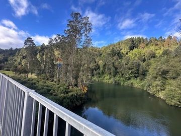 Terreno en Valdivia: Naturaleza y Comodidad