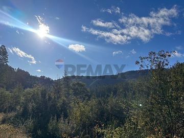 Terreno en Valdivia: Naturaleza y Comodidad