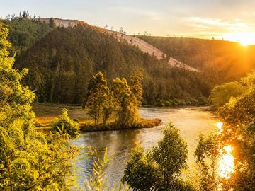 Terreno en Valdivia: Naturaleza y Comodidad