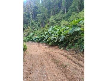 Terreno en Valdivia: Naturaleza y Comodidad