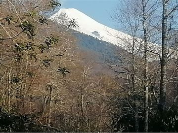 Terreno  en Pucón: Tu Refugio Ideal