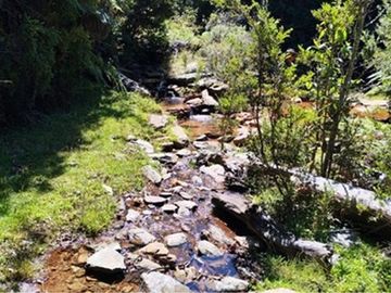 Gran lote en Tres Chiflones