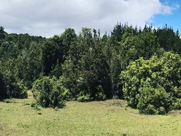 Gran lote en Tres Chiflones