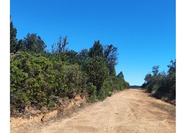 Gran lote en Tres Chiflones